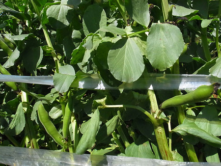 R0018242