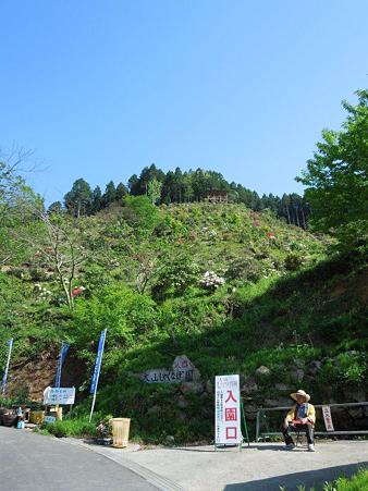 DSCN2613