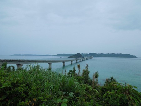 DSCN3178