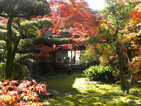 DSCN3393