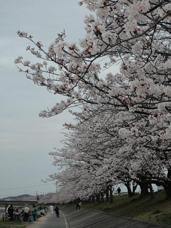 DSC01260