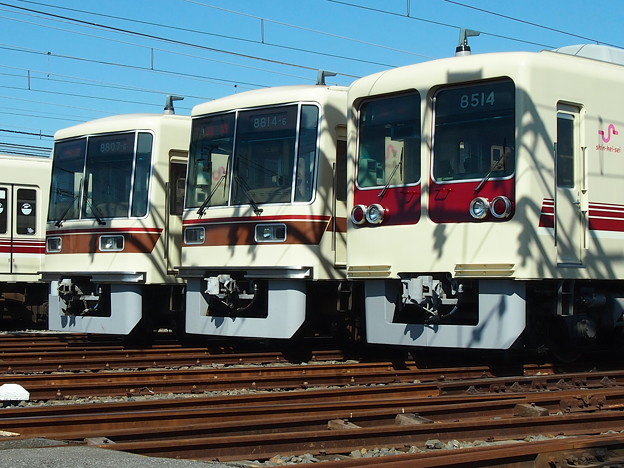 P8191636
