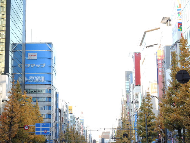 DSCN0066