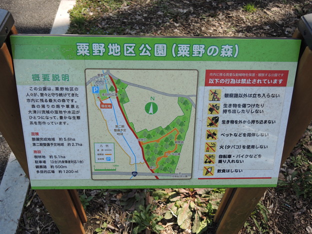 DSCN0301