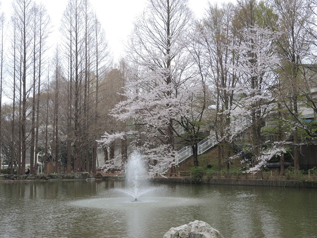 DSCN0400