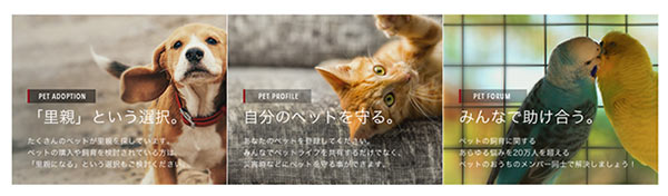 pet_ouchi01