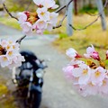 花見ツ～リング