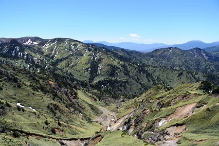 DSC_8827-1