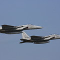 F-15J+F-15DJ 201sq