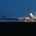 Photos: A330-300 B-18355 次は明るい時間に