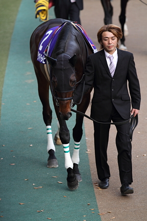 2010JC_VP