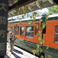 Photos: 川原湯温泉駅