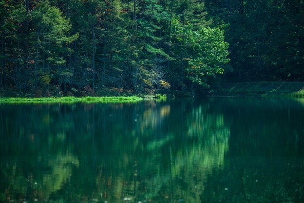 _MG_3007