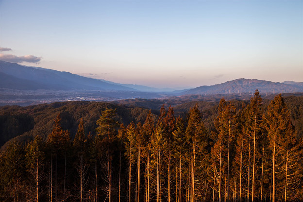 _MG_9492_R