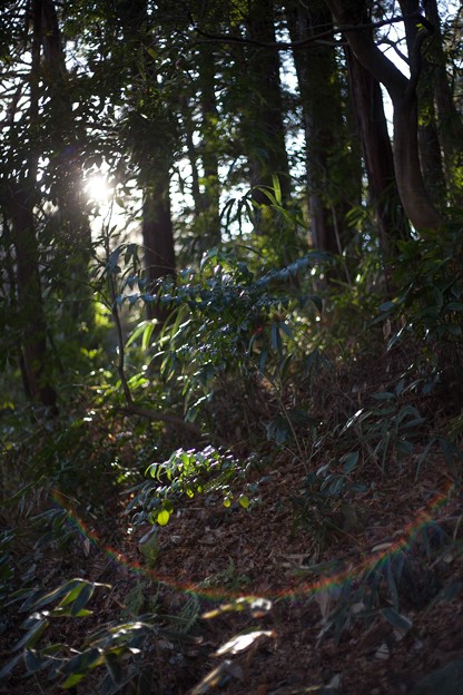 _MG_9474_R