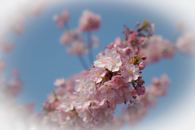 _MG_0525_R