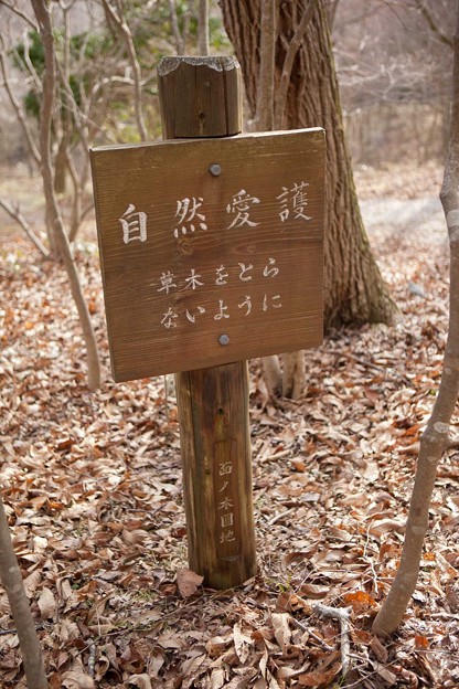 _MG_1752_R