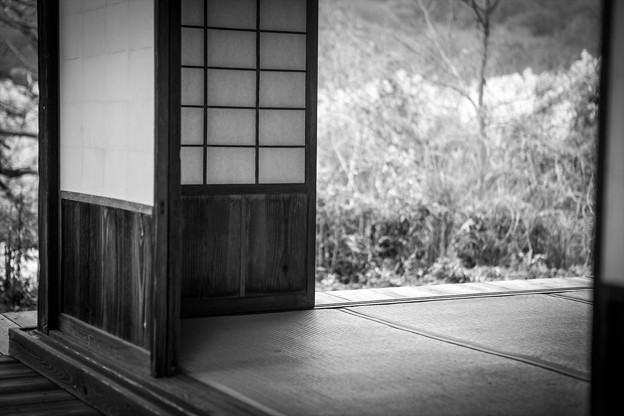 _MG_2488_R