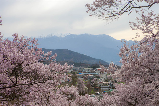 _MG_2465_R