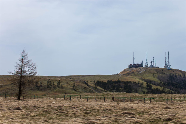 _MG_4241_R