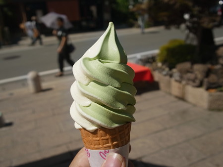 R0031055