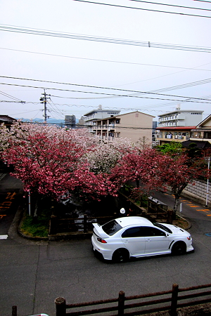 DPP_0002