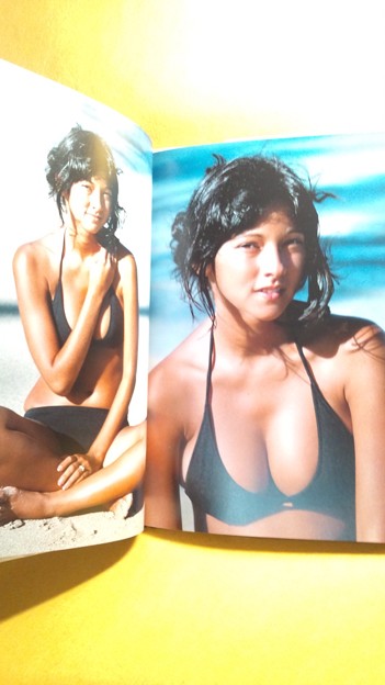 アグネス・ラム 写真集 ハイビスカス