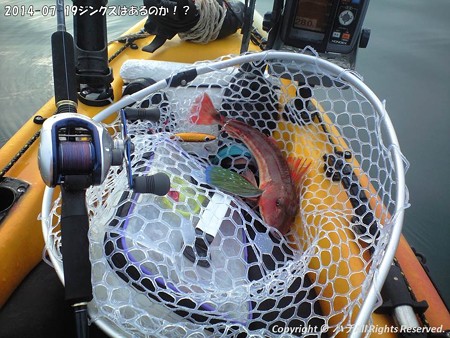 2014-07-19ジンクスはあるのか!? (3)