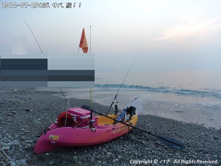 2014-07-25さば、サバ、鯖!! (1)