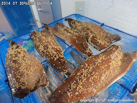 2014-07-30鯖と鯵を食い尽くす (4)