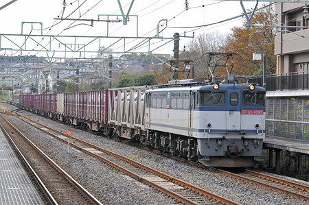 DSC_1115a