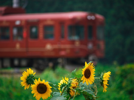 富士登山電車
