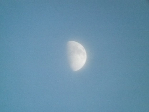 薄雲がかかった月