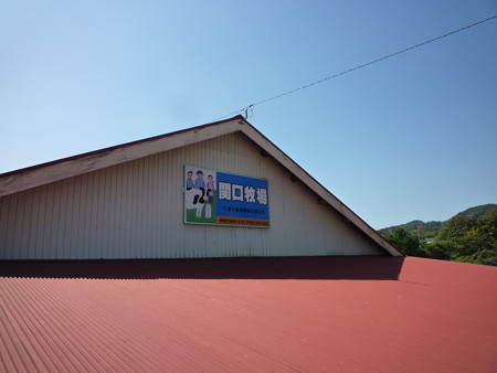 P1040382