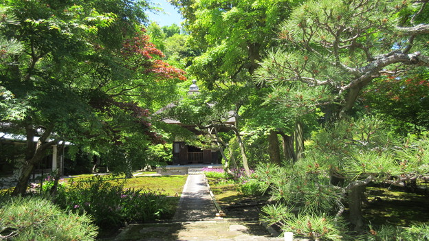 長寿寺（鎌倉市）