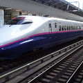 Photos: JR東日本上越新幹線E2系｢とき377号｣