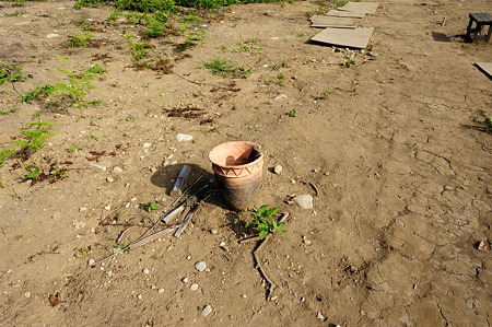 1108141544_DSC_6207
