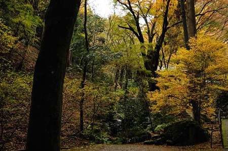 0911181350_DSC_1347