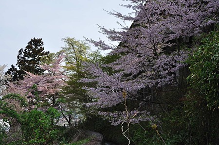 1005050813_DSC_4950