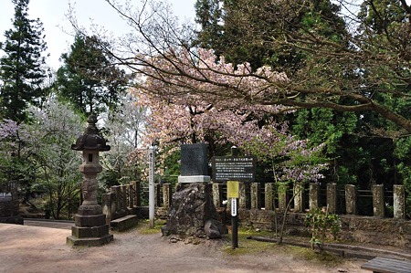 1005050815_DSC_4958