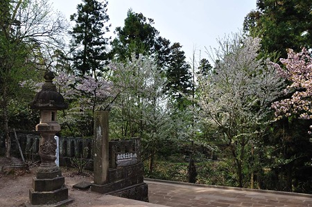 1005050815_DSC_4960