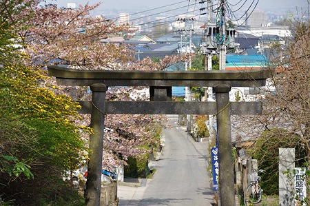 1005050839_DSC_5126