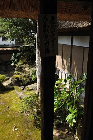 1005050903_DSC_5203