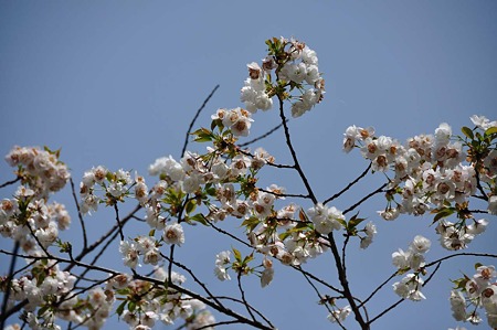 1005051208_DSC_5504