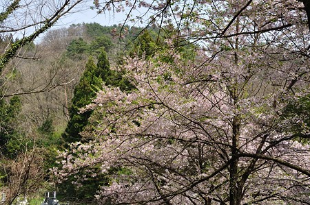 1005051322_DSC_5627