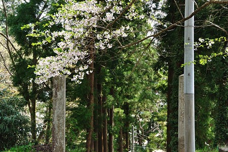1005051331_DSC_5642