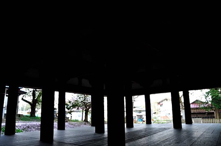 1005051717_DSC_6028