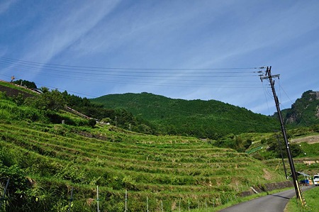 1009181456_DSC_0588