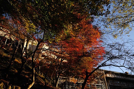 1011230740_DSC_4135