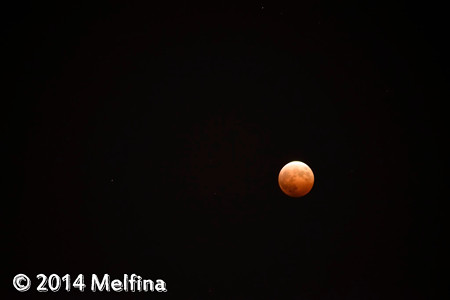 _MEL8345